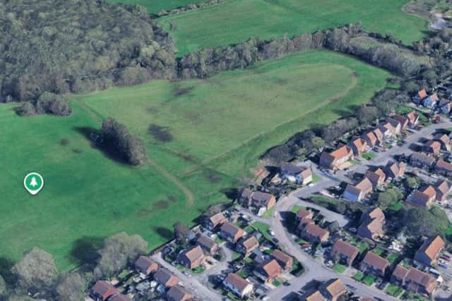 Larksfield Recreation Ground, Bognor Regis Credit: Google Maps
