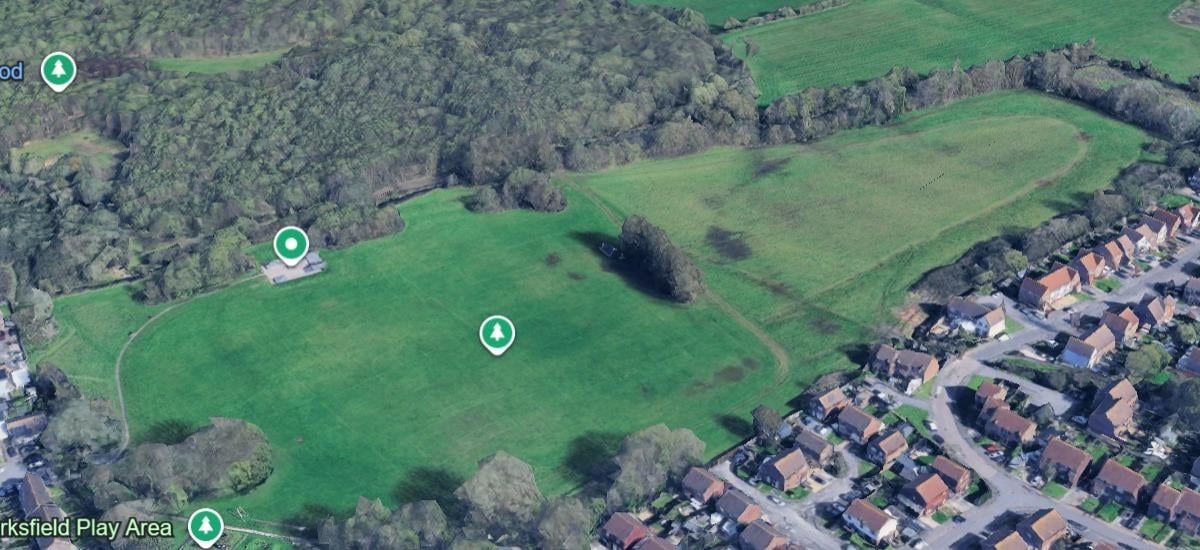Proposal for wildlife meadow at Bognor Regis rec is backed