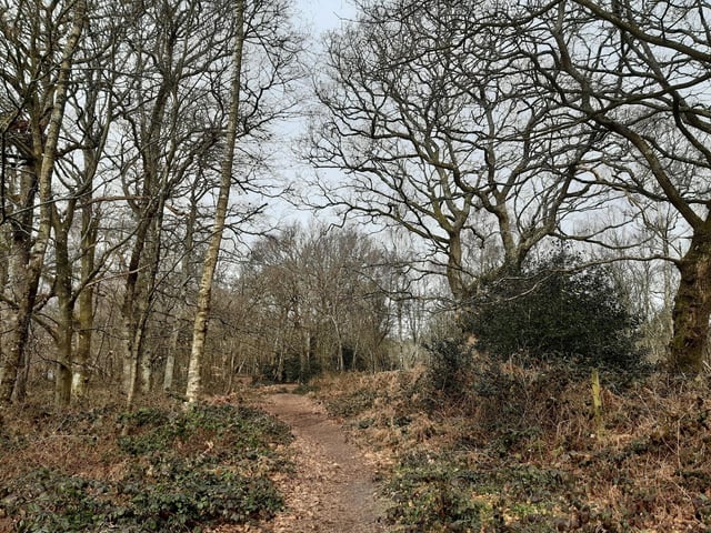 Turn right to follow the footpath that runs alongside a fence, or stay on the footpath the other side, they both go the same way