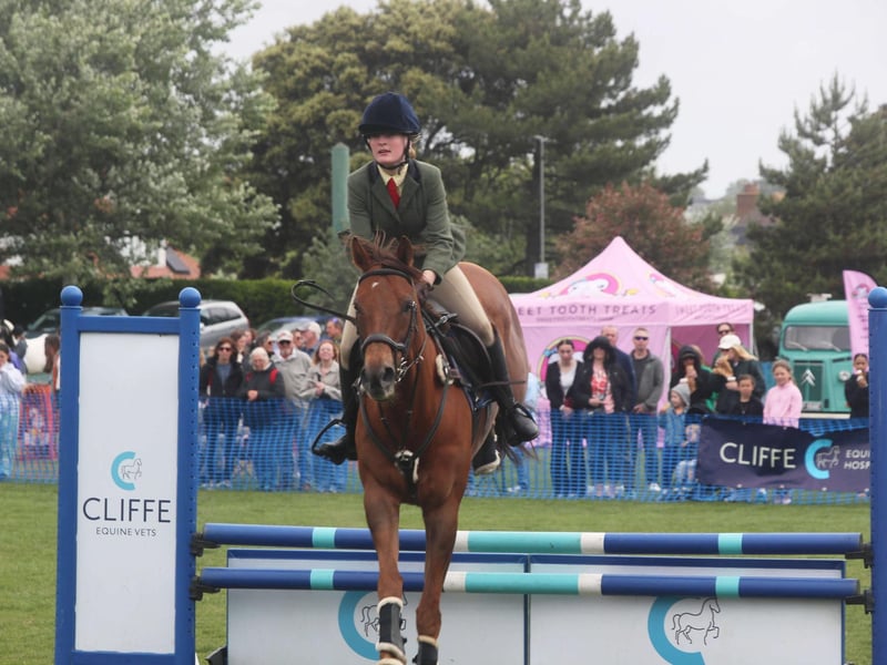 Bexhill Horse Show 2025. Photo by Roberts Photographic.