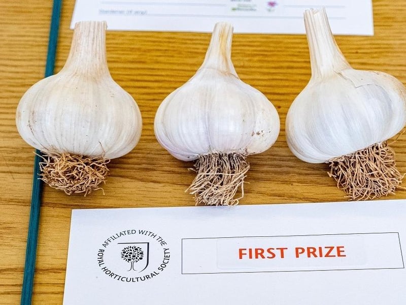 Prize-winning garlic at East Preston and Kingston Horticultural Society’s annual flower show