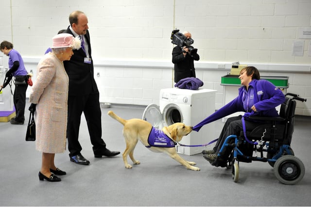 The Queen visited Canine Partners, Mill Lane, Heyshott, . Pic Steve Robards SR1728852