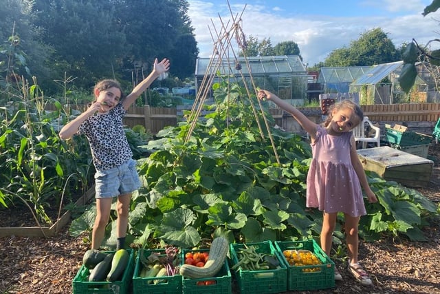 Children joining the harvest