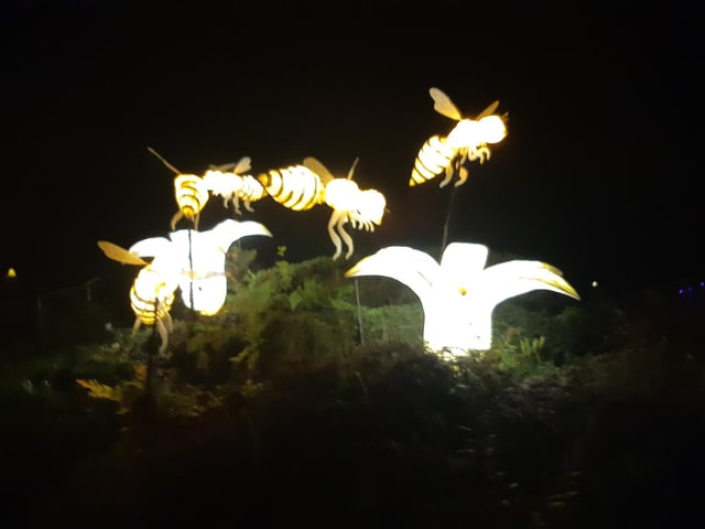 An enchanting winter lantern trail at Wakehurst Place