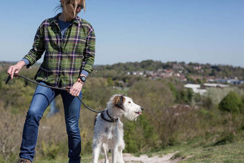 National Park encourages responsible dog walking to help farmers and wildlife