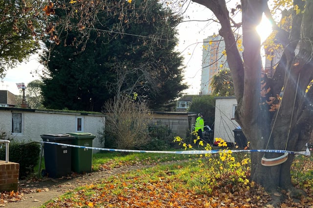 St Leonards: Two arrested on suspicion of attempted murder after man ...