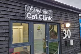 The specialist cats-only vet in Horsham. Picture – supplied