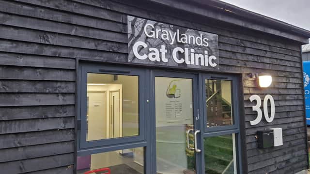 The specialist cats-only vet in Horsham. Picture – supplied