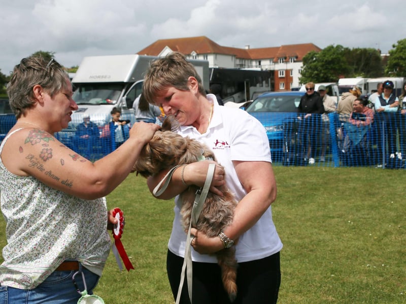 Bexhill Horse Show 2025. Photo by Roberts Photographic.