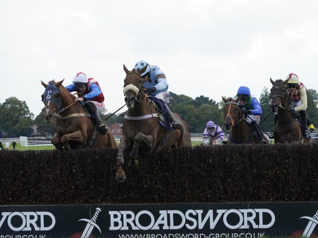 September jump racing at Fontwell Park