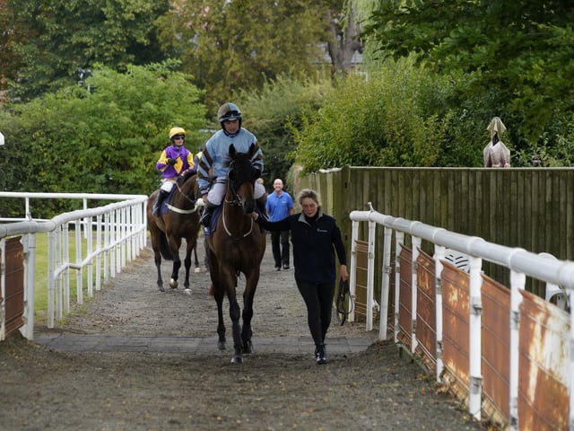 Race 2 The Rapunzel Me Curls For The Girls Novices Handicap Steeple Chase at Fontwell on Friday 30 August 2024. www.polopictures.co.uk Fontwell Arundel Clive Bennett 20240830 ©2024 Clive Bennett Photography 30/08/2024 _CAB5483.JPG : Fontwell Park Ladies' Evening 2024