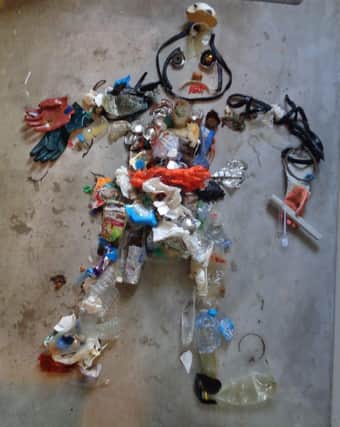 Mascot created from beach debris collected early in the campaign