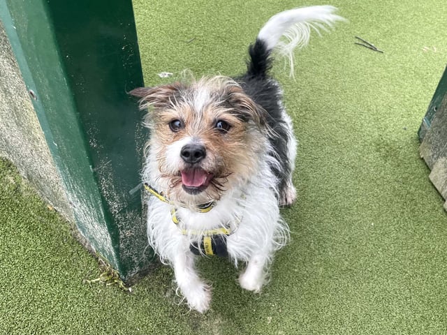 Charlie