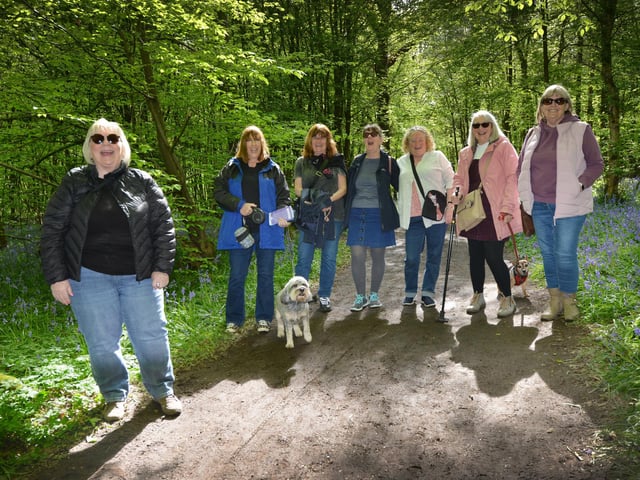 Arlington Bluebell Walk 2024. Photo taken on April 30.