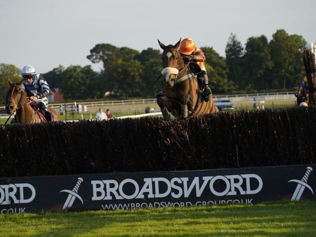 Evening racing at Fontwell Park, June 2025