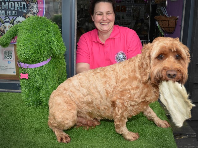 Diamond Raw Food, at Wylands Farm in Battle, celebrates a year in business. Owner Tracy Hudson with Bentley.