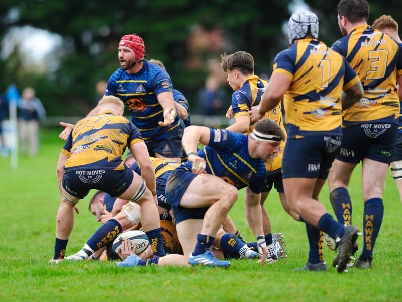 Worthing Raiders v Henley Hawks