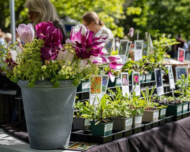 Specialist Spring Plant Fair at Borde Hill. Image: Gabrielle Stewart
