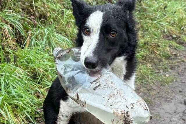 Jess from Lewes finds cans and bottles and takes them home for recycling. All photos by Catherine Speak