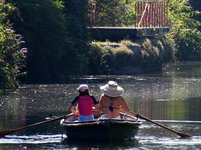 Sarah Ide's entry ‘Just rowing’