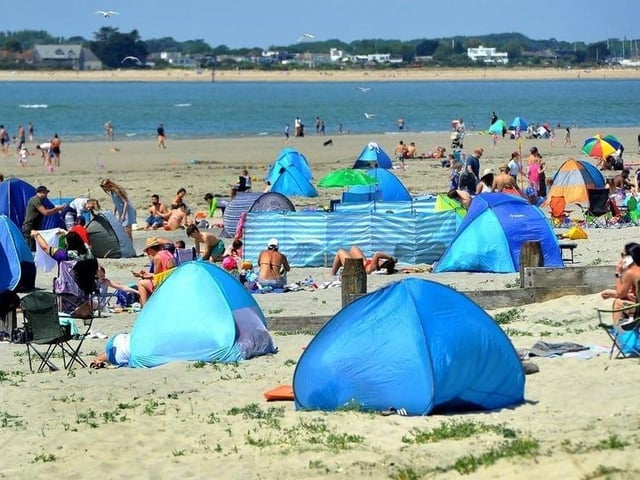 In 2021 West Wittering was named as one of the UK's safest dog-friendly beaches. Picture: Steve Robards