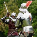 Skirmish at Arundel Castle