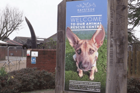 Raystede. Photo: staff
