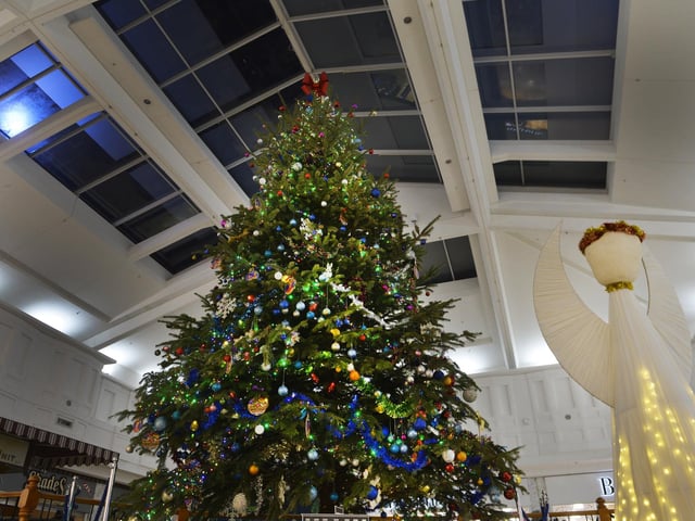 Eastbourne at Christmas (Photo by Jon Rigby)