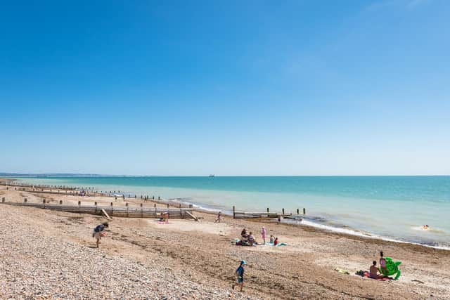 Obtaining bathing water status would be a step toward Worthing achieving Blue Flag status in the future