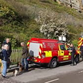 Dog rescued from cliffs at Rock-a-Nore