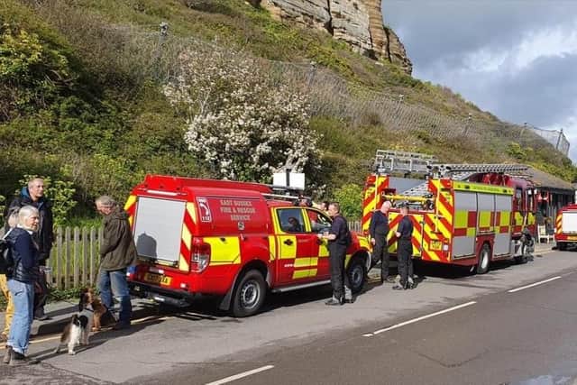 Dog rescued from cliffs at Rock-a-Nore