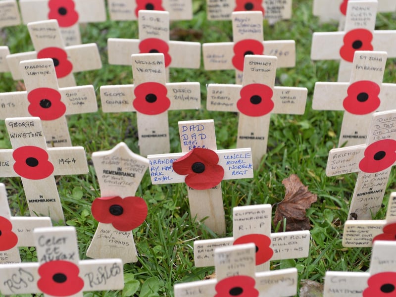 Eastbourne Remembrance Sunday Service (Photo by Jon Rigby)