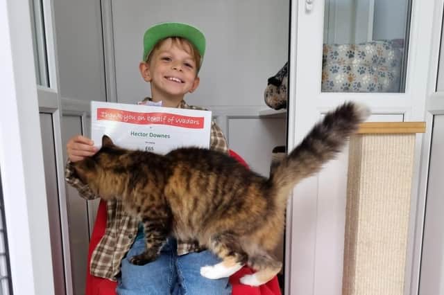 Hector Downes being presented a certificate by Mimi, one of the lovely cats at Wadars. Picture: Jenny Freeman / Submitted