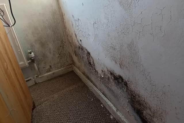 How to tackle mould and condensation in your home