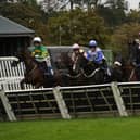 Fontwell Park jump racing action, October 2026