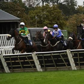 Fontwell Park jump racing action, October 2026