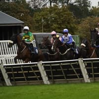 Jump racing picture special: Trio of favourites prevail at Fontwell Park