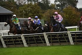 Fontwell Park jump racing action, October 2026