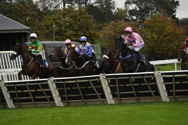 Fontwell Park jump racing action, October 2026