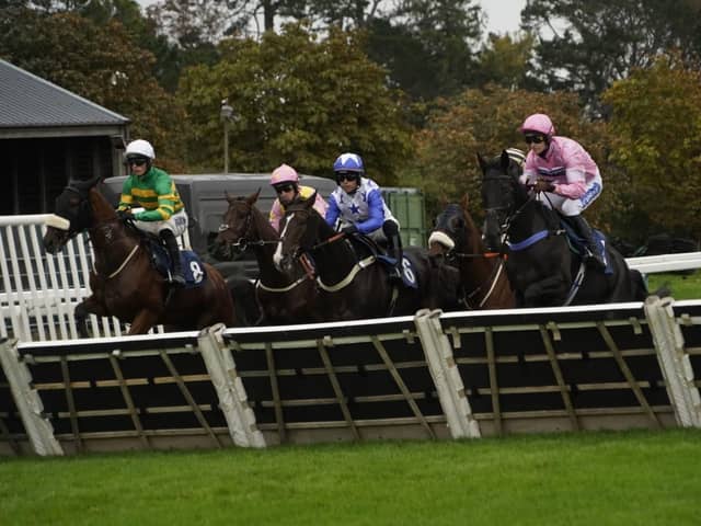 Fontwell Park jump racing action, October 2026