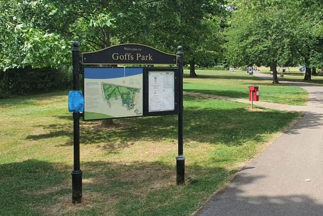 Goffs Park falls foul to local litterbugs