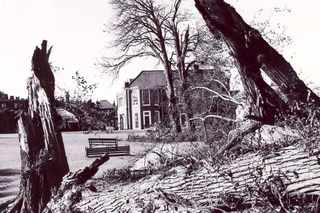 The Great Storm of 1987 in Eastbourne: 21 pictures of the destruction in the town
