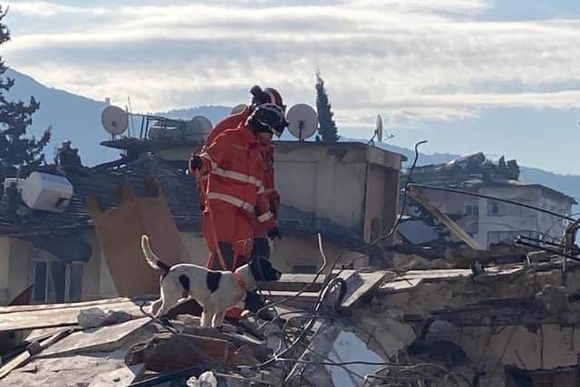 A dog who was adopted from a Sussex charity has just completed a lifesaving search and rescue mission in Turkey following the earthquake.