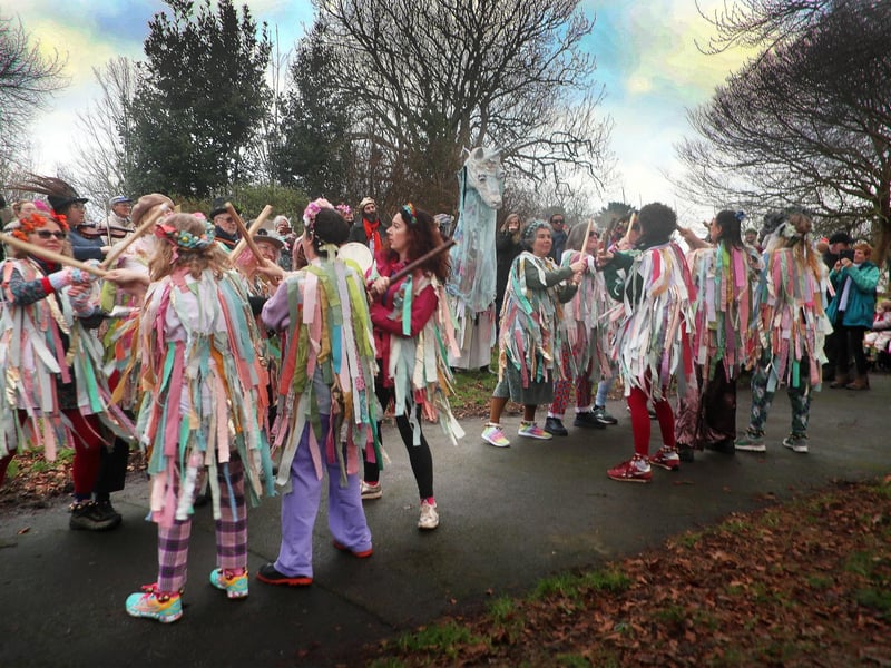 Wassail at Gensing Gardens on January 31 2026. Photo by Roberts Photographic.