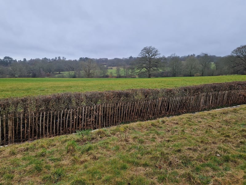 Borde Hill aims to unlock 110 acres of listed landscape with the ‘Reinventing Borde Hill’ project