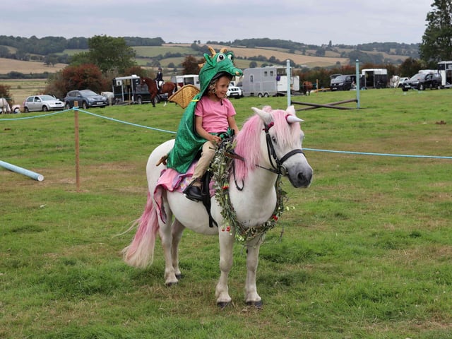 Rye and District Country Show