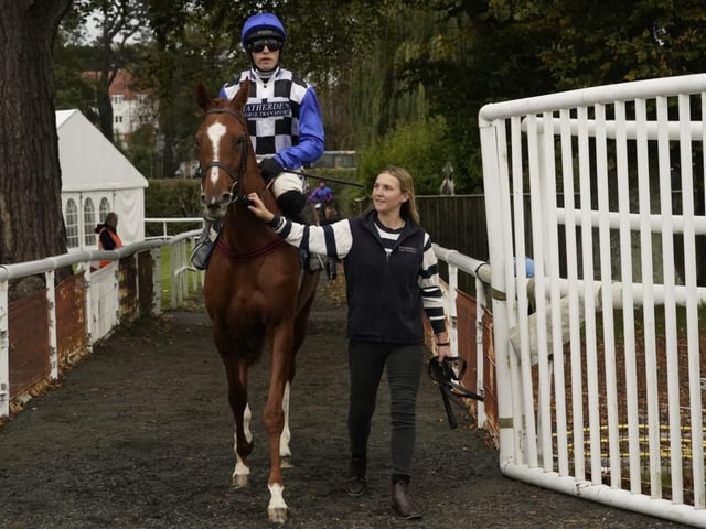 Fontwell Park jump racing action, October 2026