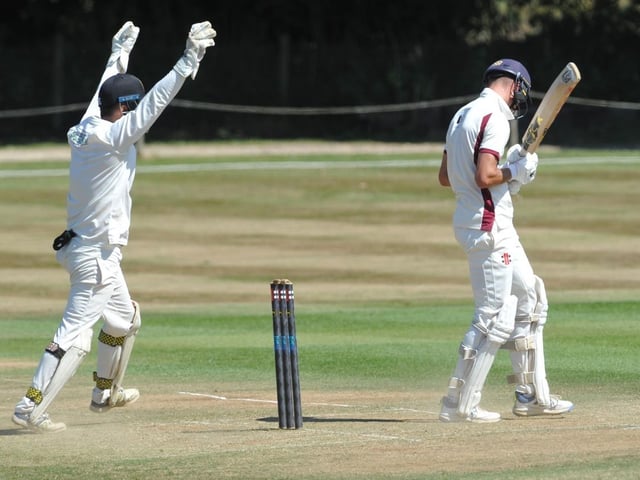 Findon CC v Steyning CC, Sussex League Division 3 WEst
