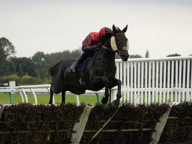 September jump racing at Fontwell Park