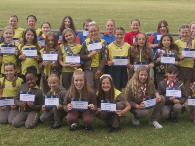 Brownie Gold Awards